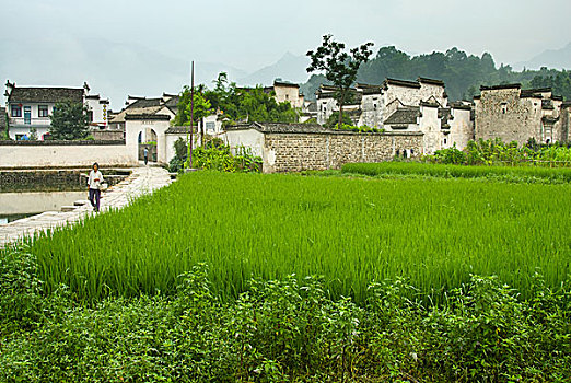soi cau xsmb 2888