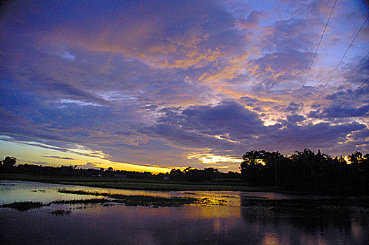 lo bạch thủ hôm nay