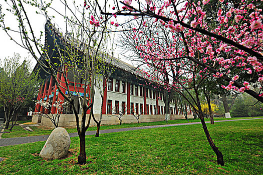 xổ số mẹ