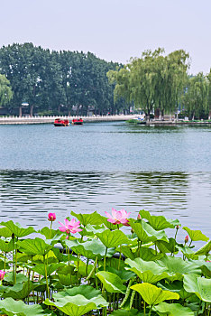 xổ số bà rịa vũng tàu