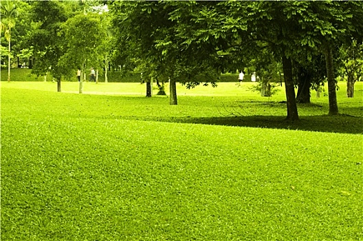 xổ số kiến thiết hồ chí minh