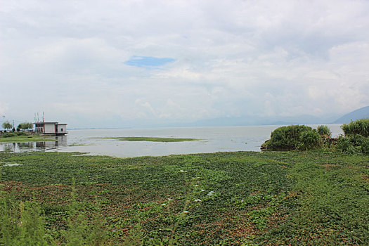 cầu miền bắc