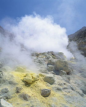 du doan atrungroi