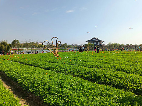 soi cầu vietlott