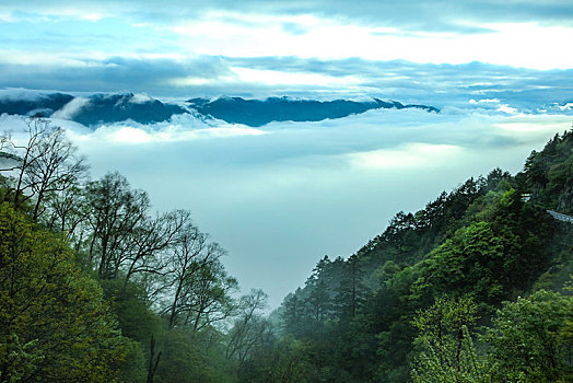 lô bạch thu hôm nay