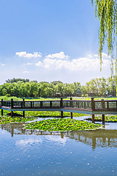 xổ số bình định hôm nay