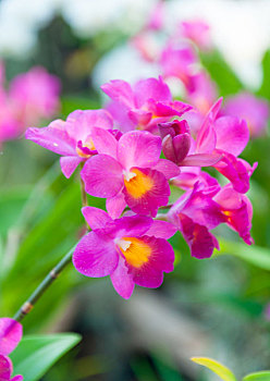 xổ số miền nam ngày thứ 7