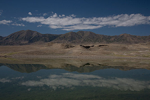 cau lo bach thu khung 5 ngay