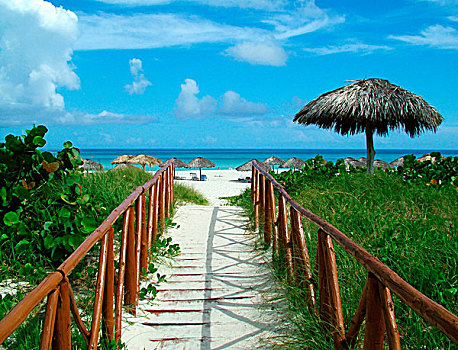 chơi số đề