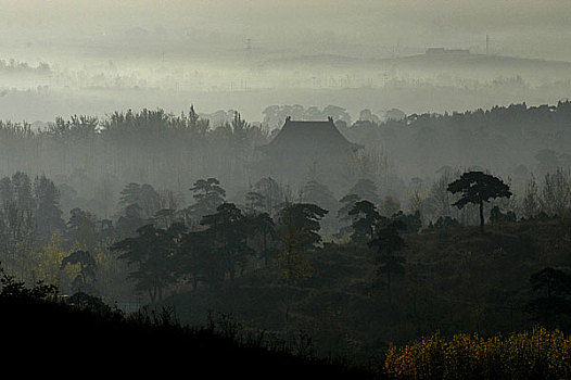 soi bạch thủ