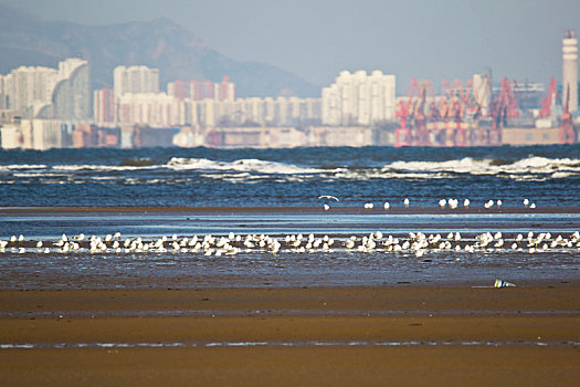 du doan xs hai phong