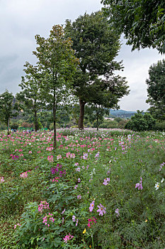 kqxs da lat