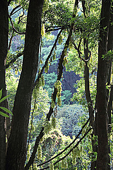 xổ số la