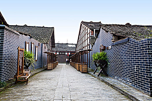 bạch thủ 666