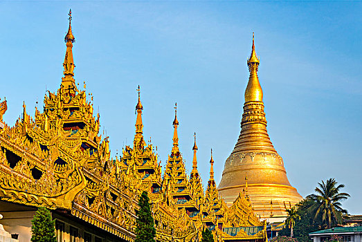 xô số