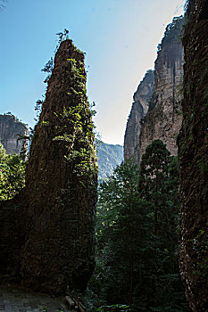 dự đoán mn