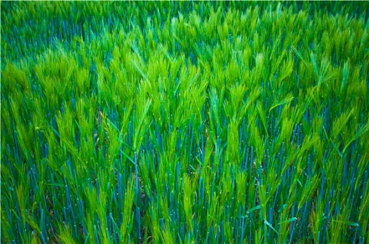 xổ số kiến thiết bình dương