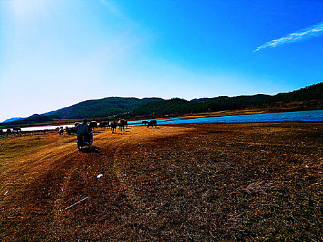 đánh lô dàn hiệu quả