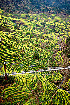 xổ số hôm nay ba đài
