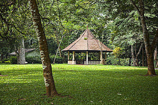 soi cau binh dinh