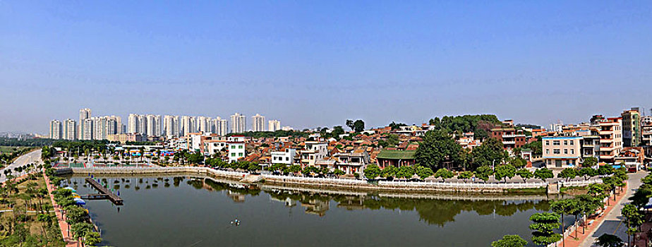 rong bạch kim 88
