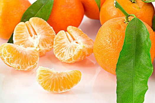 xổ số miền bắc hôm nay