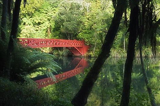 soi cau hay