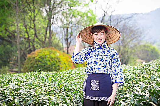 soi cau xo so binh duong mien phi