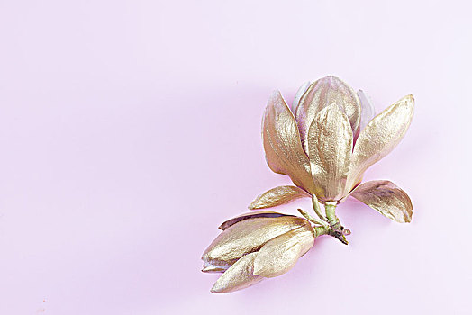 soi cầu 24 giờ