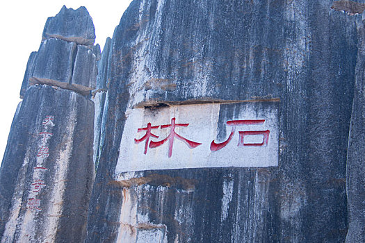 soi cau than tai