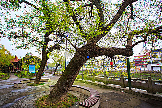 lô đẹp ngày mai