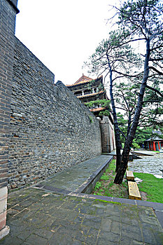 xổ số hồ chí minh