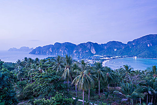 soi cau 100 ngay