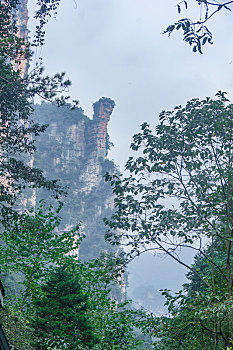 rongbachkim com cau chay ba ngay
