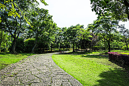 xs ninh thuân