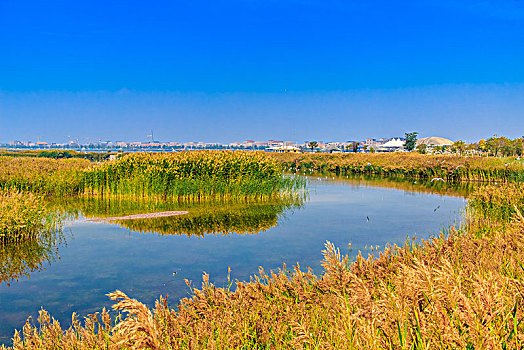 xosokhanhhoa