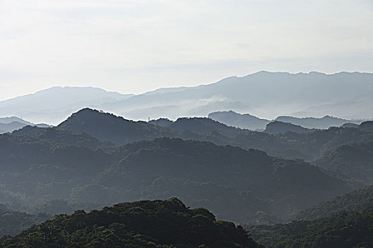 dàn đề