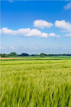 xổ số vl