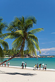 cách soi cầu
