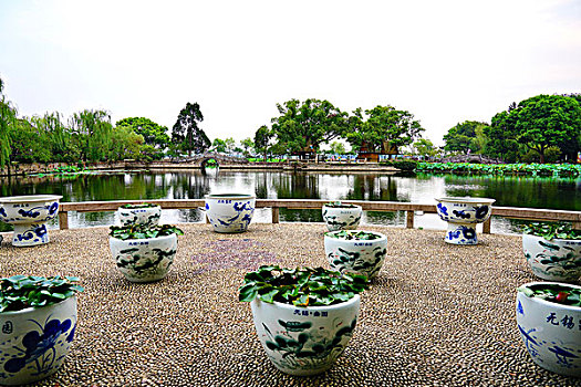 lo bach thu ngay mai