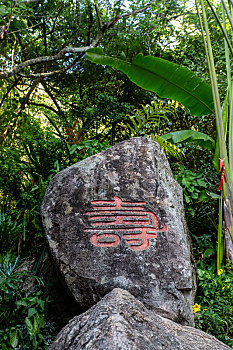 cách chơi lô đề không thua
