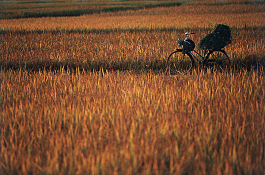 xổ số miền nam ngày thứ 7