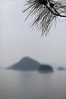 soi cau phat loc tron doi