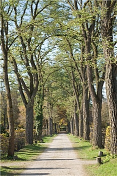 xs đà nẵng