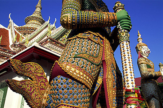 soi cau mien bac 24h