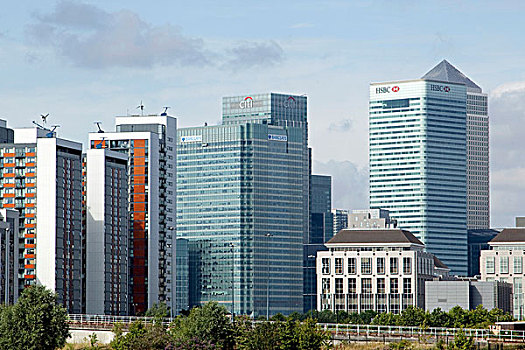 cau bach thu