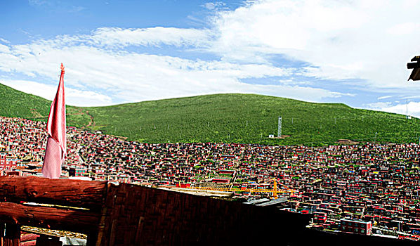 soi cau hay wap