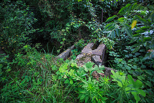 du doan xo so soi cau