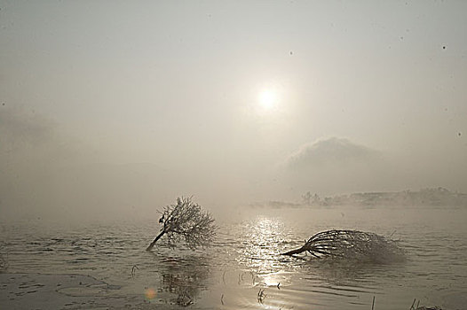 soi cầu miễn phí