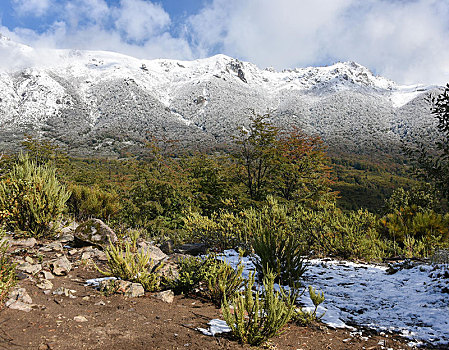 soicau xosomienbac